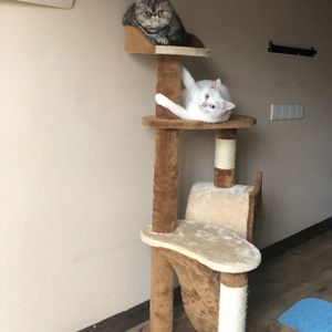 。中国槡BBBB槡操BBBBB
